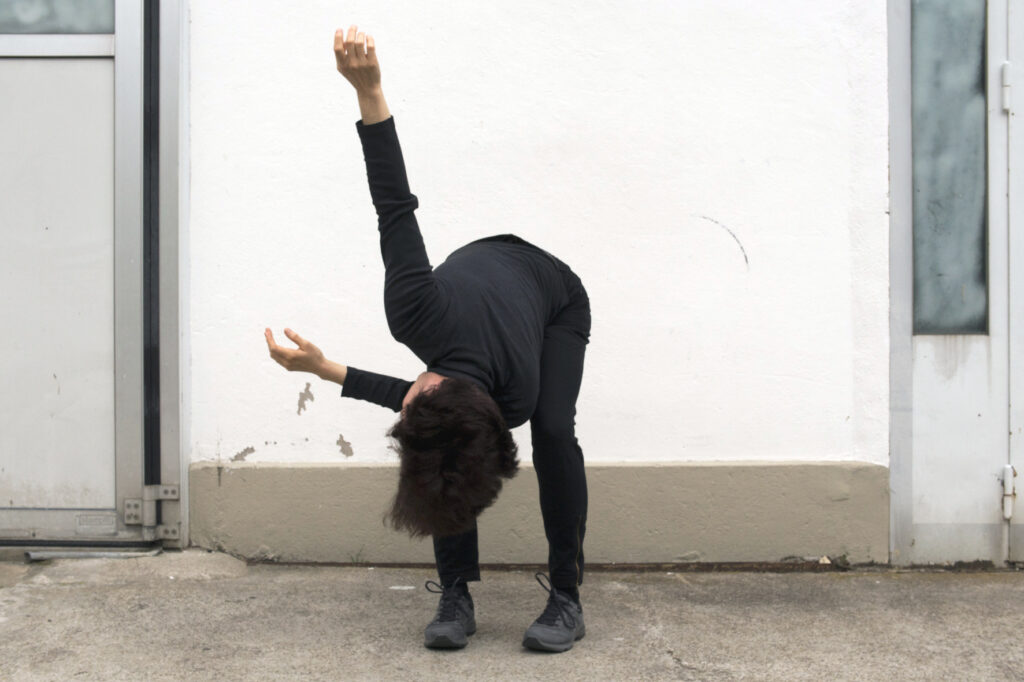 Performance «Album»