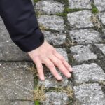 Belebte Umgebung – bewegtes Selbst